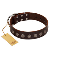 "Starry-Eyed" Best Quality FDT Artisan Brown Designer Leather English Pointer Collar with Small Plates