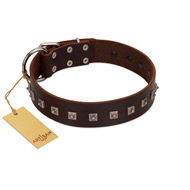 "Kingly Grace" FDT Artisan Brown Leather English Pointer Collar with Silver-like Dotted Studs