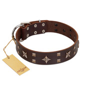 "Stars in Sands" Modern FDT Artisan Brown Leather English Pointer Collar with Studs and Stars