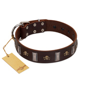 "War Chief" FDT Artisan Genuine Brown Leather English Pointer Collar with Skulls and Plates