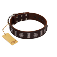 "Spiky Way" FDT Artisan Brown Leather English Pointer Collar with Silver-Like Decorations