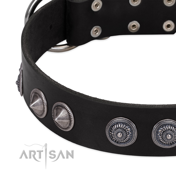Decorated full grain genuine leather dog collar with corrosion proof fittings