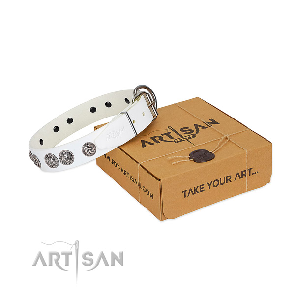 Remarkable full grain natural leather collar for your four-legged friend everyday walking