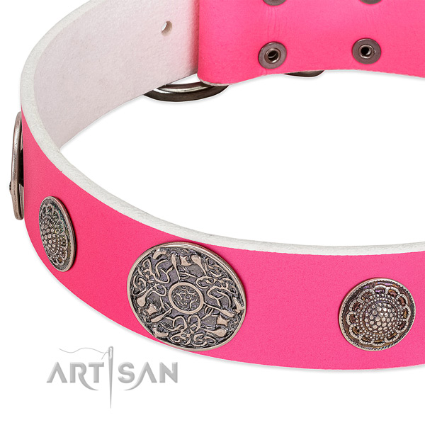 Corrosion proof traditional buckle on genuine leather dog collar