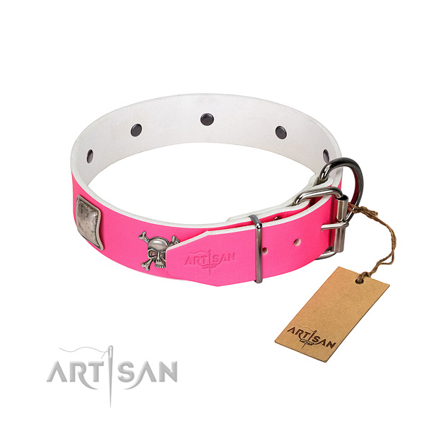 Stylish walking full grain leather dog collar with unique adornments