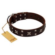 "Bigwig Woof" FDT Artisan Brown Leather English Pointer Collar with Chrome Plated Stars and Square Studs