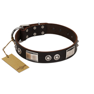 "Baller Status" FDT Artisan Brown Leather English Pointer Collar Adorned with a Set of Chrome Plated Studs and Plates