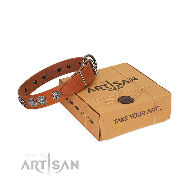 Trendy leather collar for your doggie everyday walking