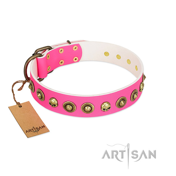 Designer leather dog collar with reliable decorations