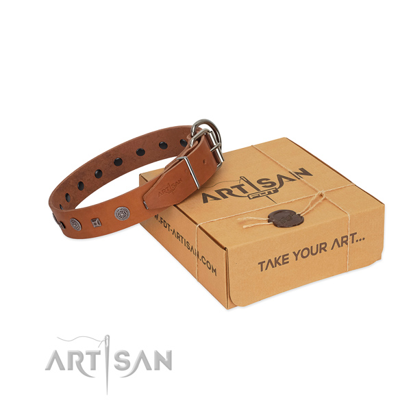 Amazing genuine leather dog collar for walking