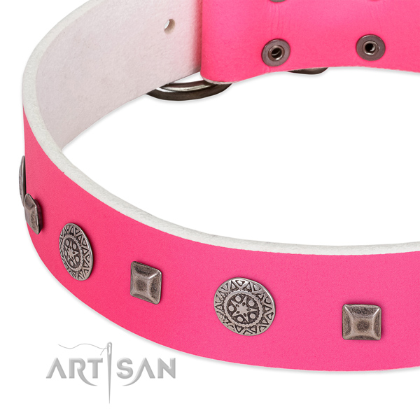 Flexible full grain leather dog collar with stylish embellishments