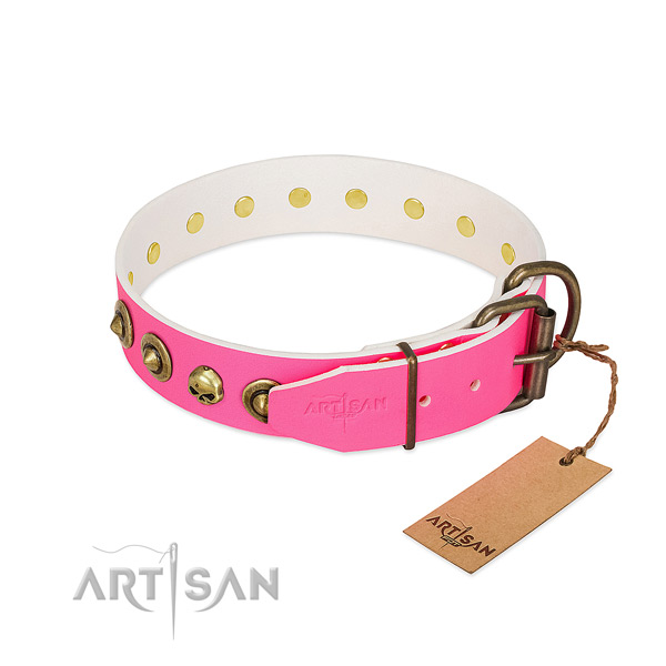 Full grain genuine leather collar with stylish design embellishments for your four-legged friend