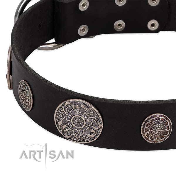 Corrosion resistant traditional buckle on full grain genuine leather dog collar