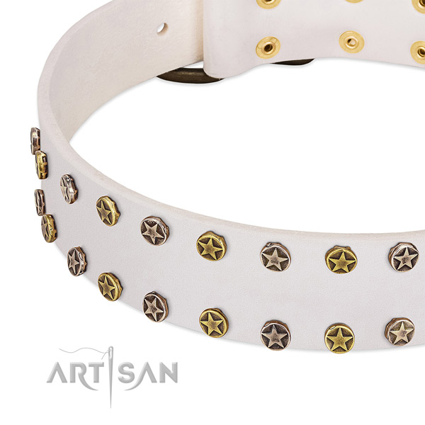 Stylish adornments on full grain leather collar for your four-legged friend
