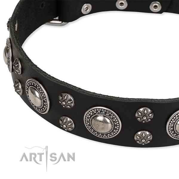 Comfy wearing embellished dog collar of finest quality genuine leather
