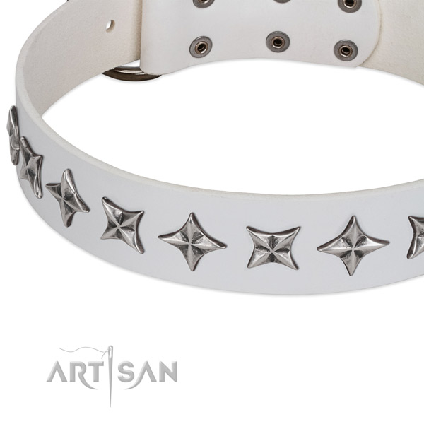 Everyday walking embellished dog collar of top notch genuine leather