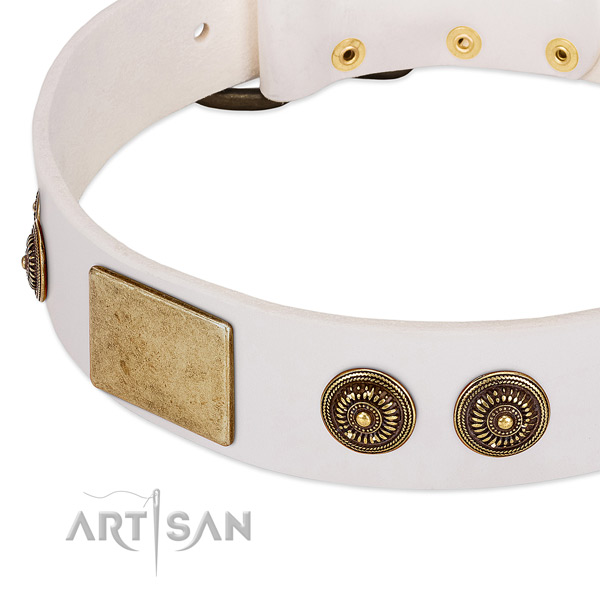 Designer dog collar crafted for your lovely pet
