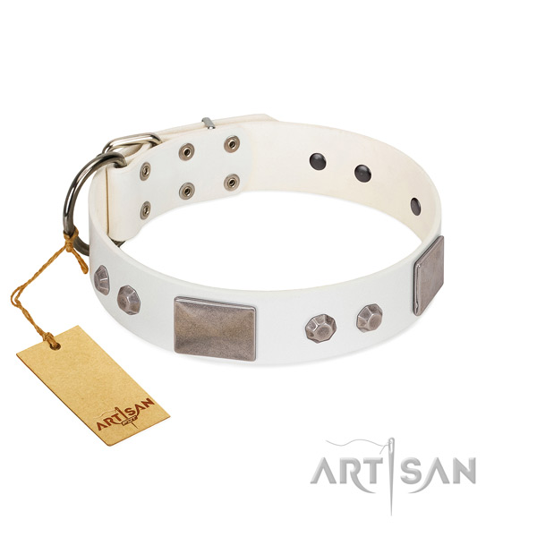 Corrosion proof buckle on genuine leather dog collar for comfortable wearing