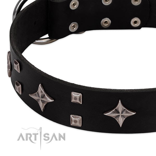 Amazing full grain genuine leather dog collar for everyday walking