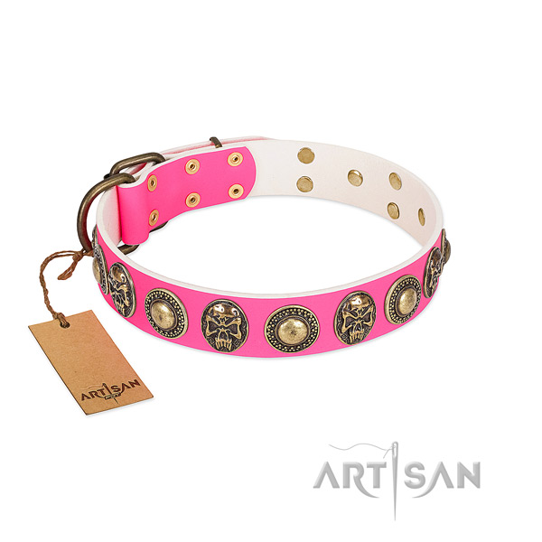 Easy adjustable genuine leather dog collar for stylish walking your canine