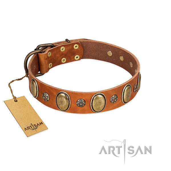 Comfy wearing quality leather dog collar with adornments