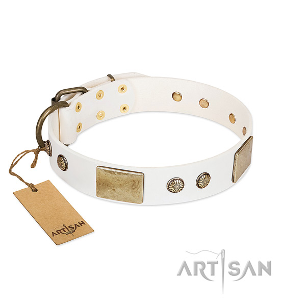 Easy wearing genuine leather dog collar for everyday walking your four-legged friend