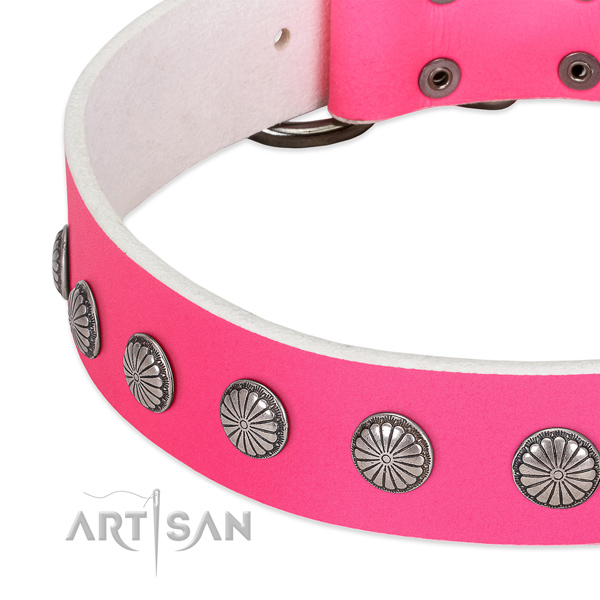 Gentle to touch full grain natural leather dog collar with adornments for your beautiful four-legged friend