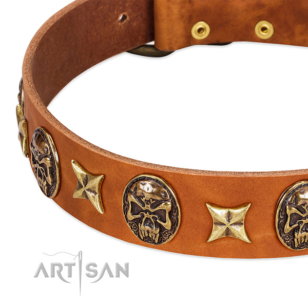 Strong embellishments on full grain genuine leather dog collar for your dog
