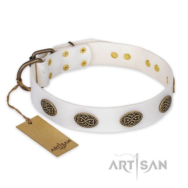 Amazing full grain leather dog collar with reliable fittings