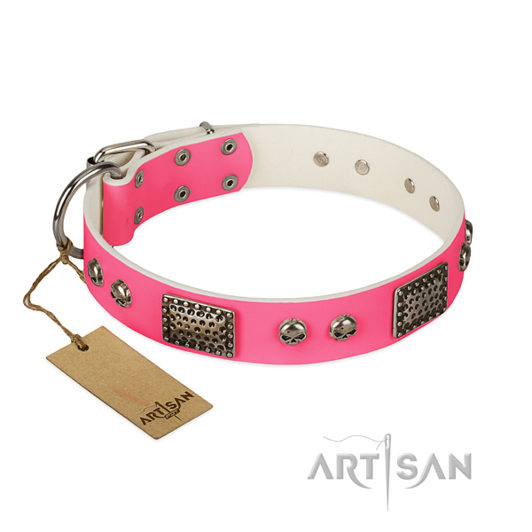 Easy adjustable leather dog collar for daily walking your four-legged friend