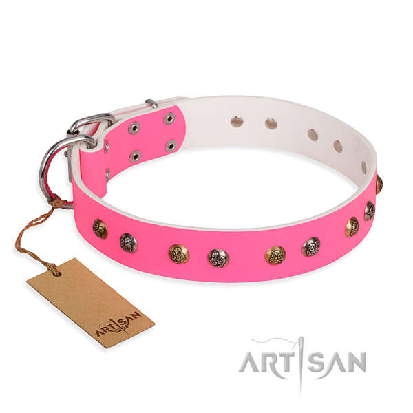 Walking easy adjustable dog collar with strong D-ring