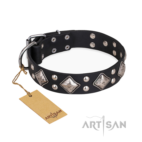 Walking easy adjustable dog collar with strong D-ring