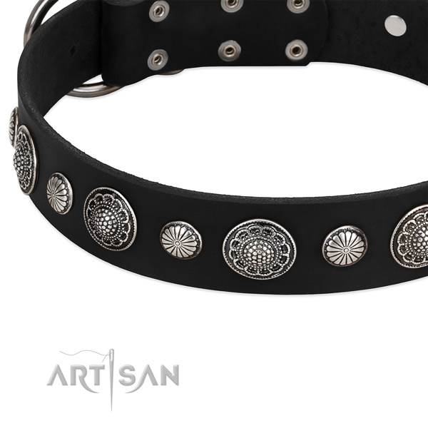 Leather collar with reliable traditional buckle for your stylish dog