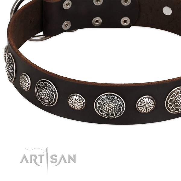 Full grain natural leather collar with rust-proof hardware for your stylish four-legged friend