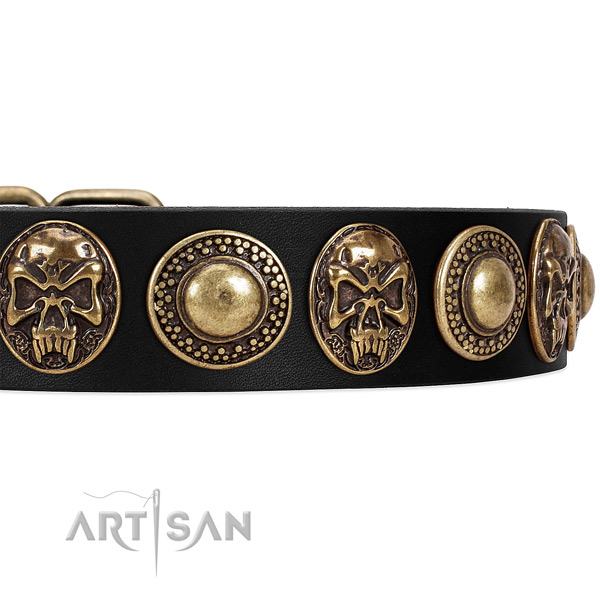 Durable embellishments on full grain genuine leather dog collar for your four-legged friend