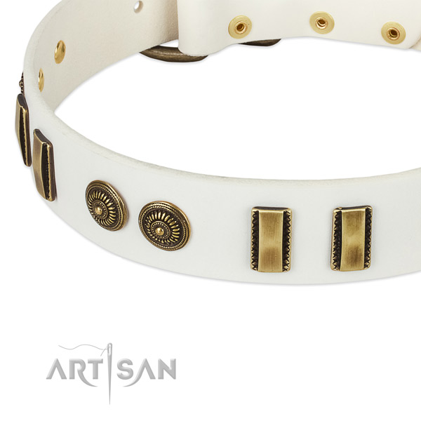 Rust resistant decorations on genuine leather dog collar for your canine