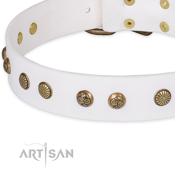 Full grain leather collar with corrosion proof fittings for your lovely pet