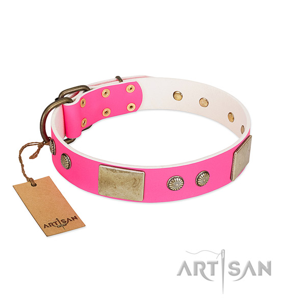 Easy adjustable leather dog collar for daily walking your pet