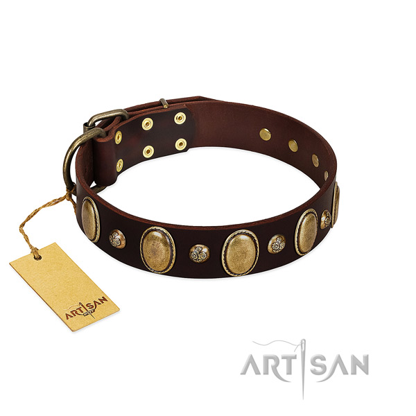 Natural leather dog collar of soft to touch material with exceptional adornments