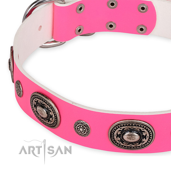 Durable leather dog collar made for your lovely pet