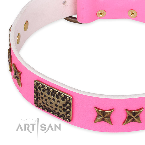 Leather collar with corrosion resistant D-ring for your beautiful dog