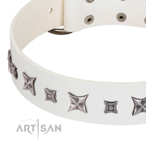 Daily use studded natural leather collar for your canine