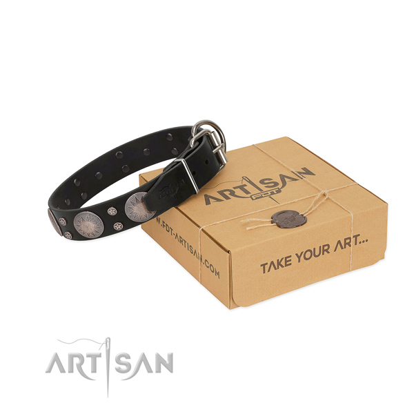 Stylish studded leather dog collar for everyday use