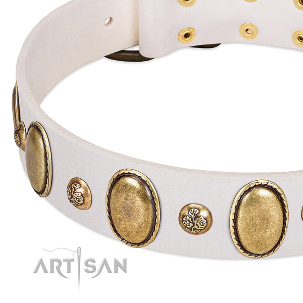 Natural leather dog collar with unusual decorations
