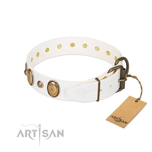 Stylish walking full grain leather dog collar