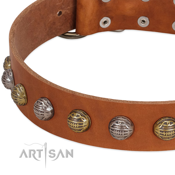 Reliable D-ring on genuine leather collar for basic training your four-legged friend