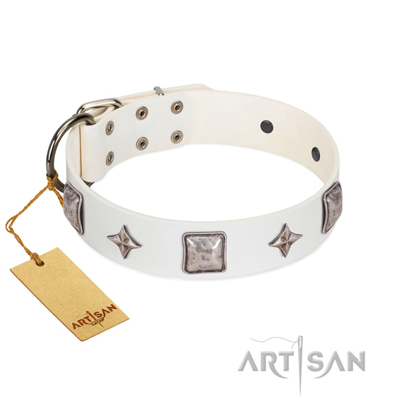 Soft to touch genuine leather dog collar with adornments for everyday walking