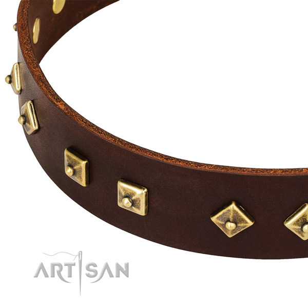 Fashionable full grain leather collar for your attractive canine