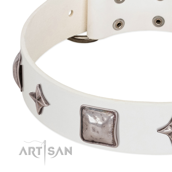 Awesome full grain natural leather dog collar with rust-proof studs