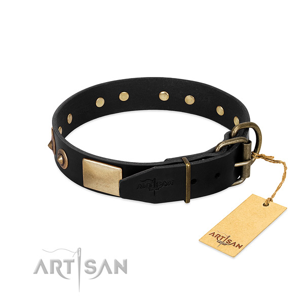 Strong fittings on walking dog collar